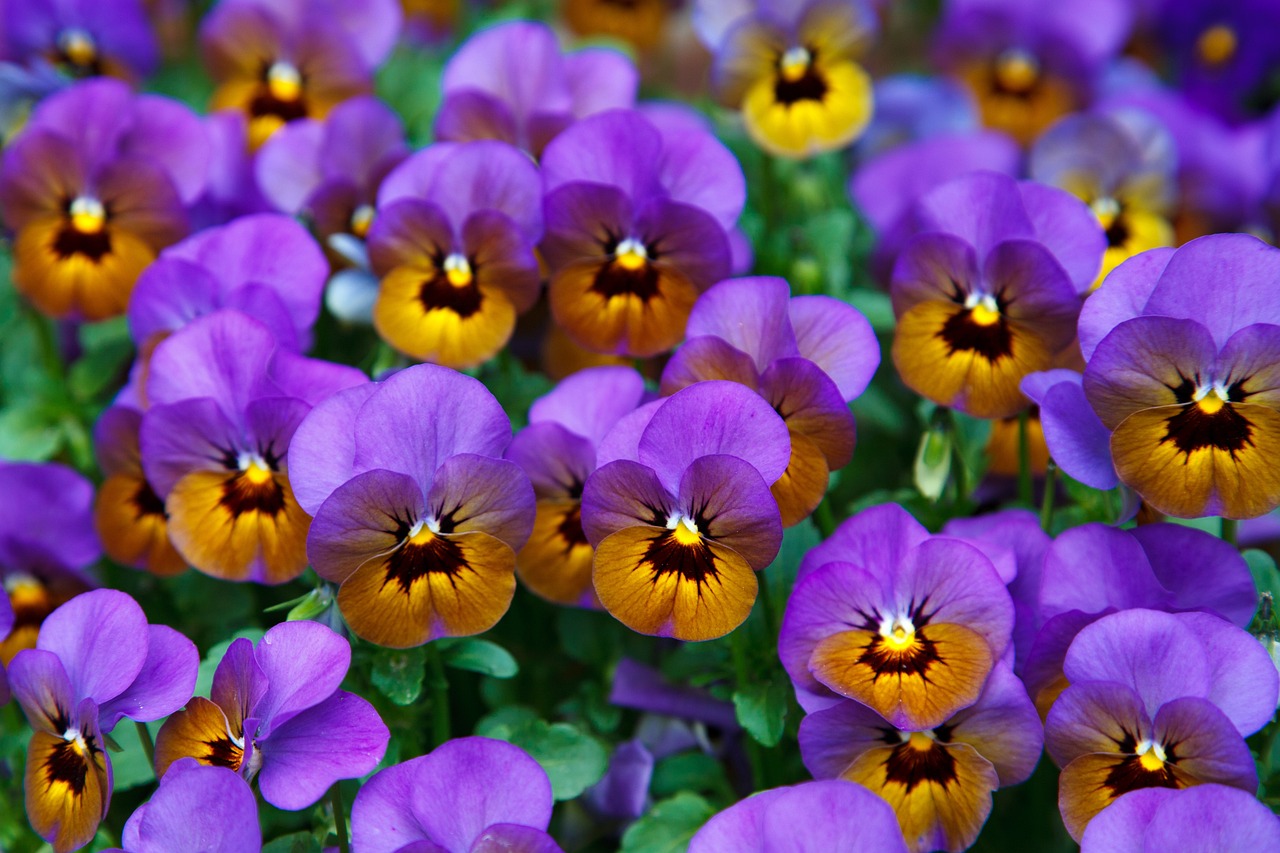 The Benefits of Vertical Gardens in Urban Waste Management